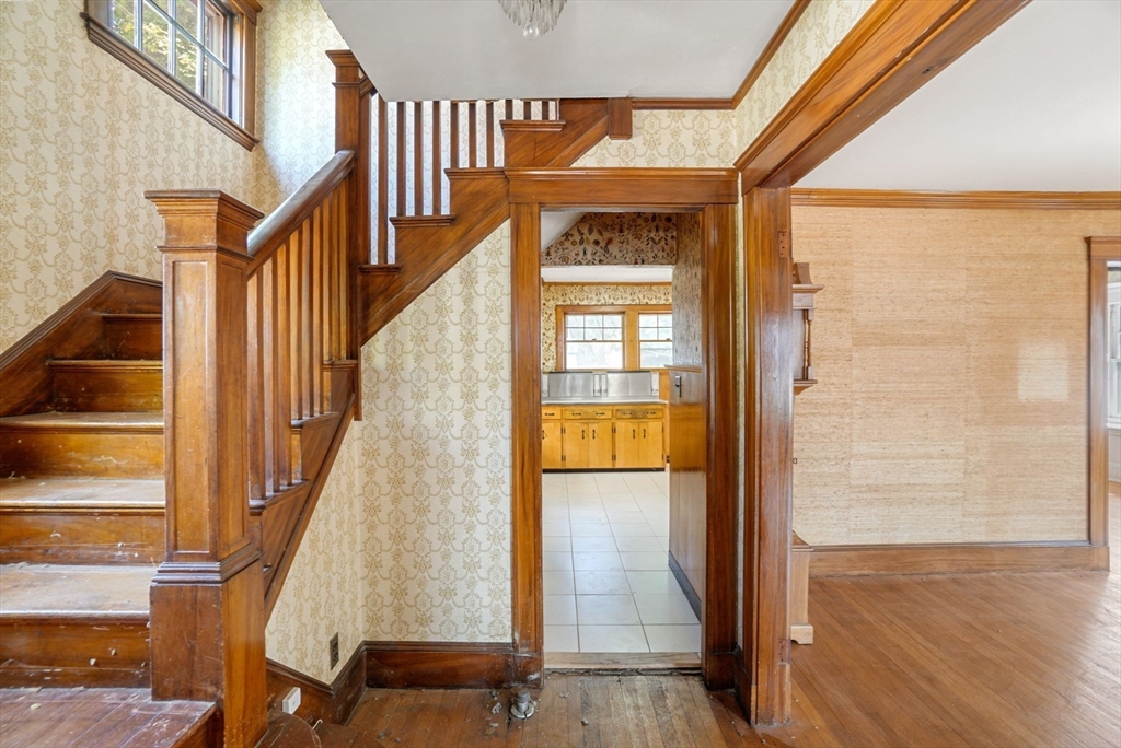 55 Winsor Ave