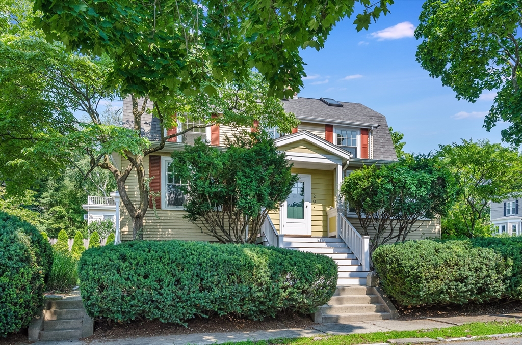 29 Devereaux
