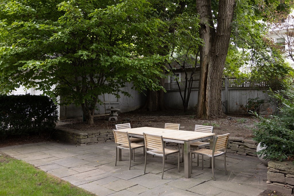 17 Willow St. # 17