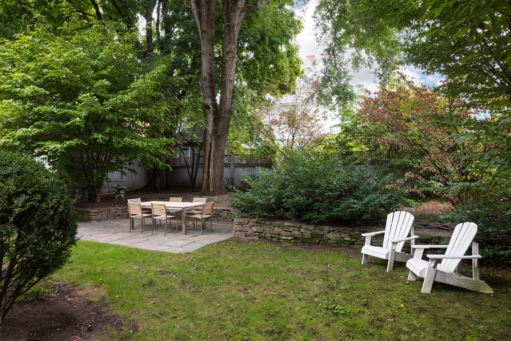 17 Willow St. # 17