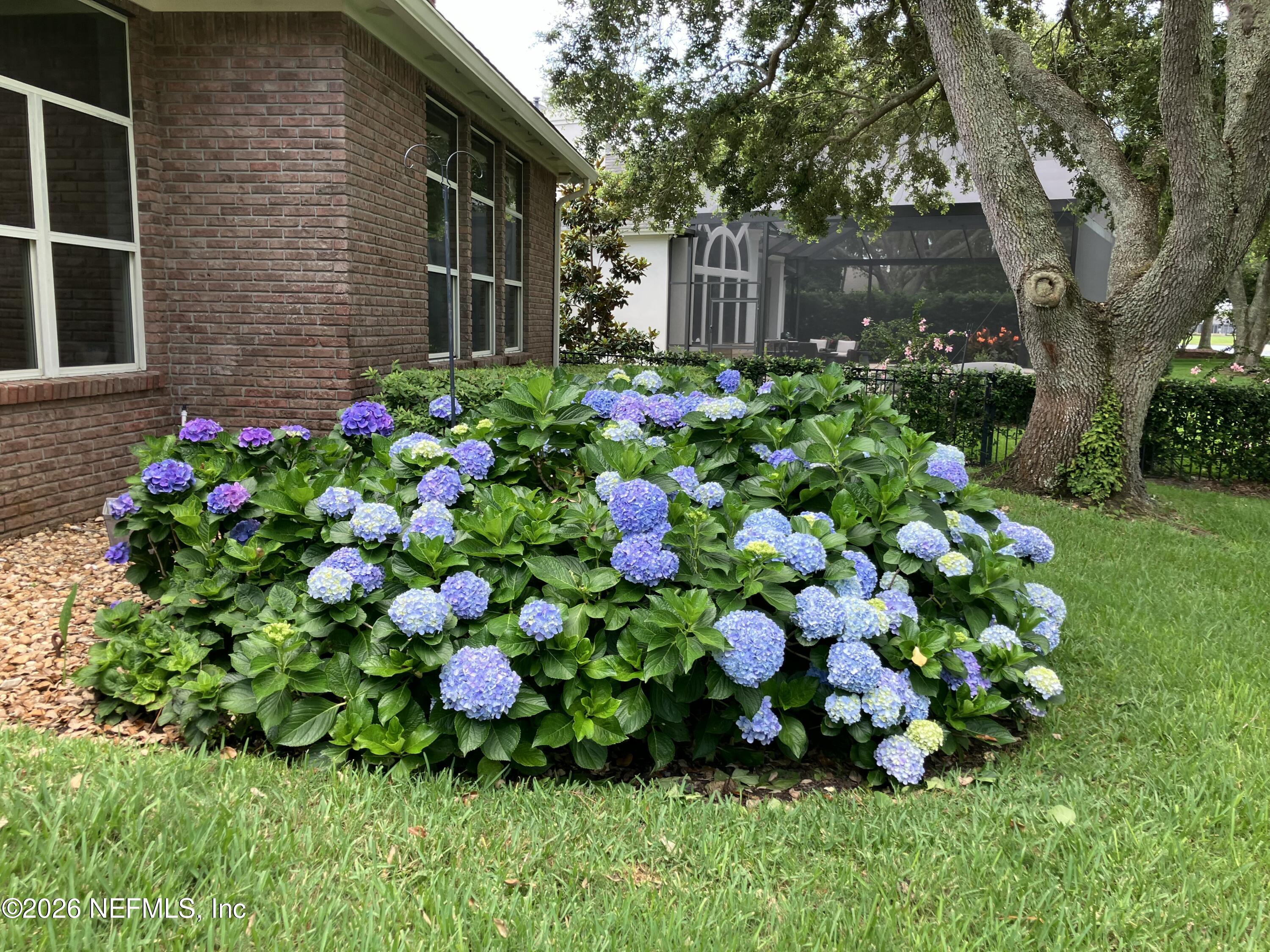 165 SEA ISLAND Drive