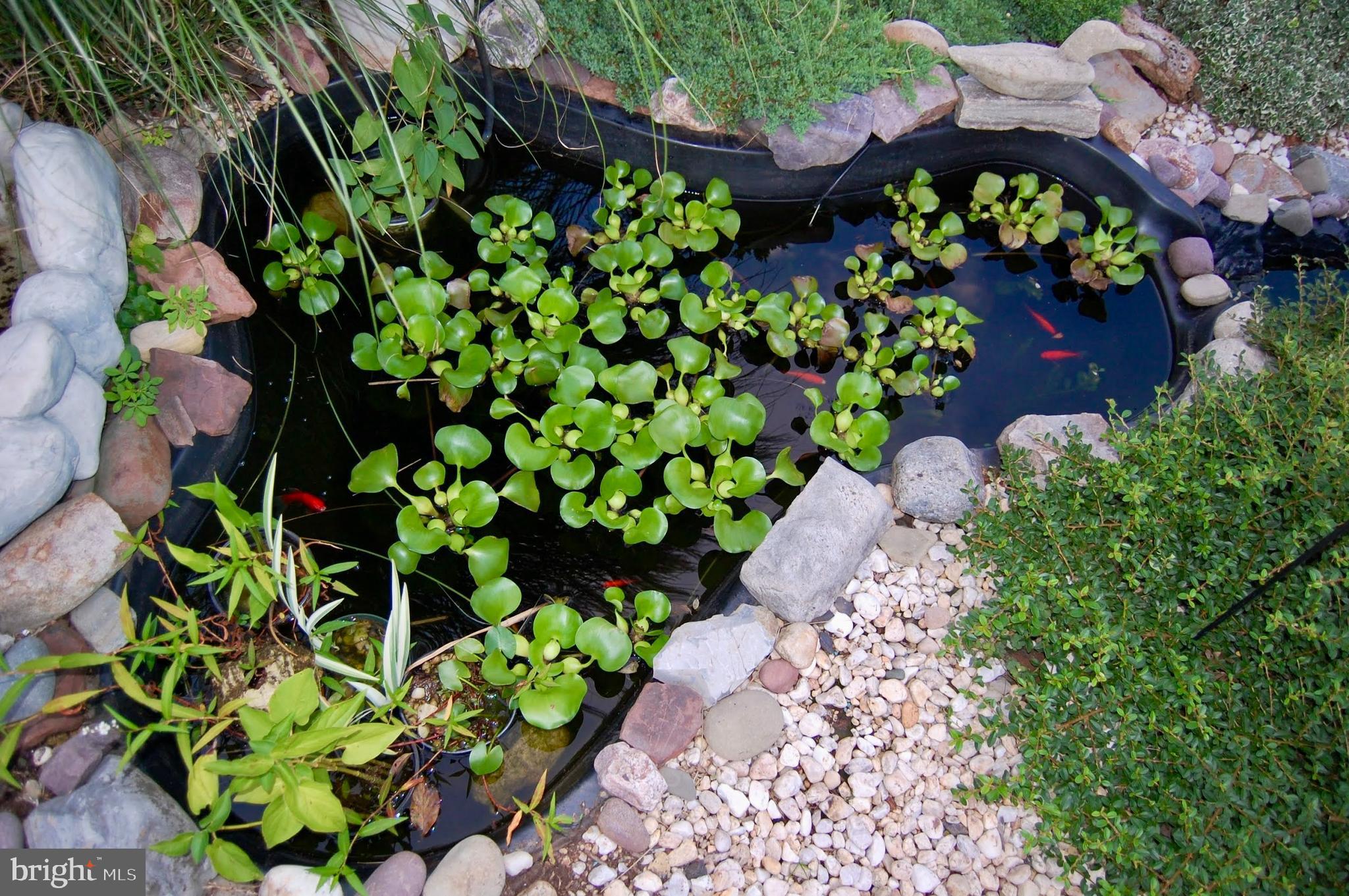 1290 STONYBROOK LANE