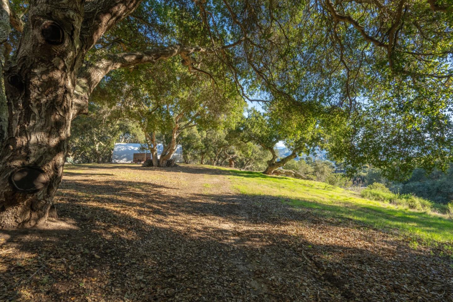 12167 Saddle Road
