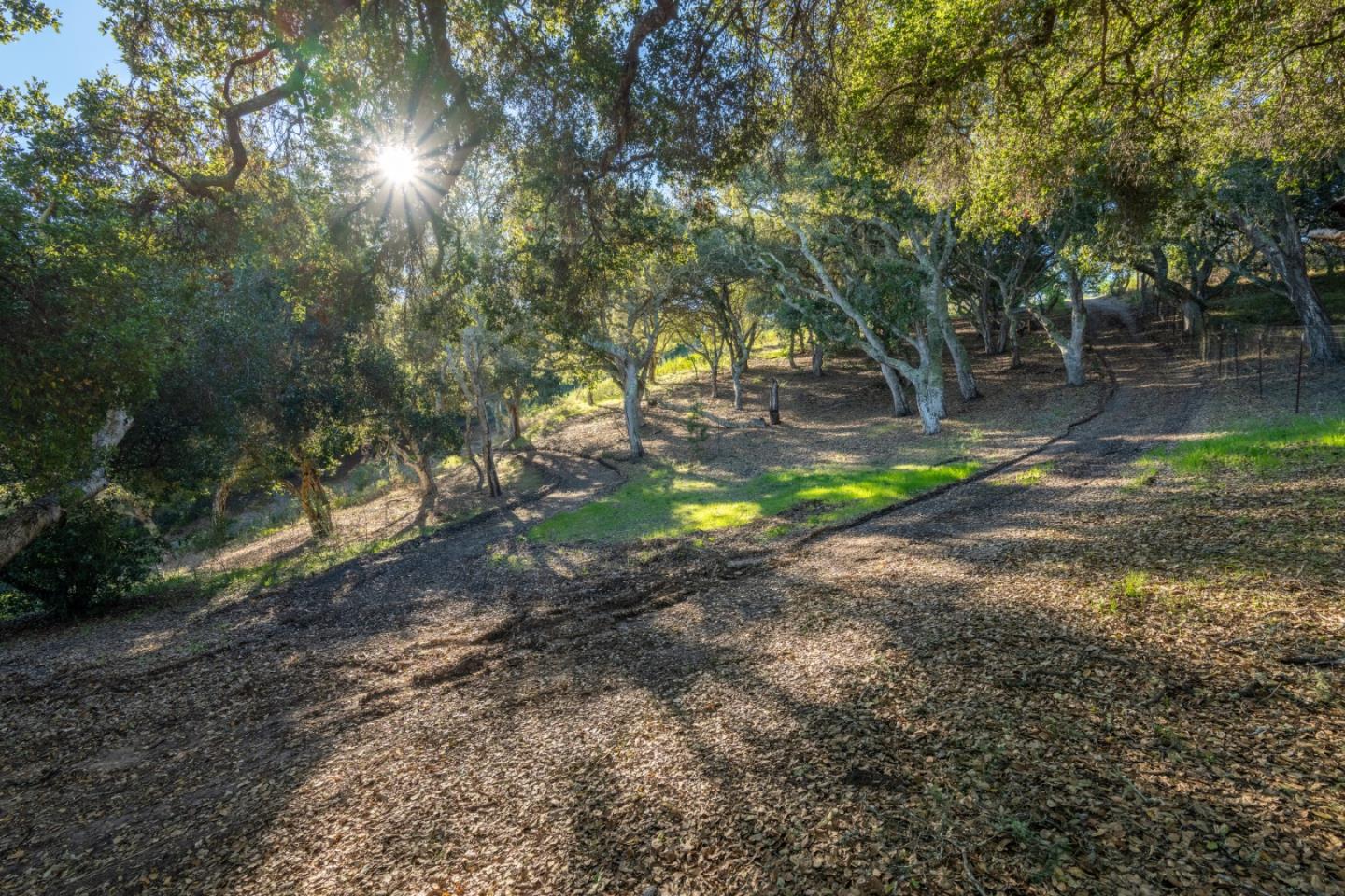 12167 Saddle Road