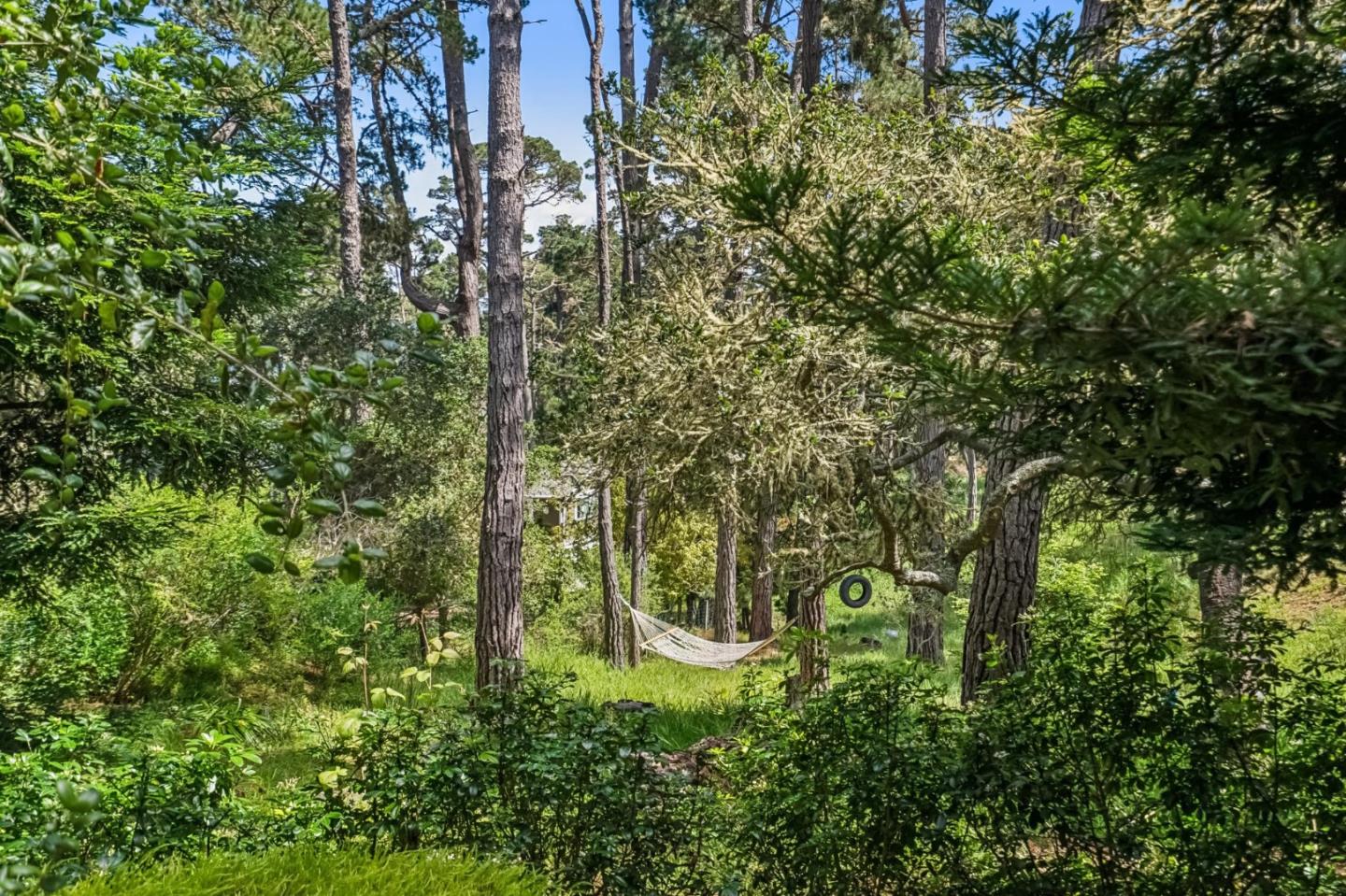 6 Wyndemere Vale