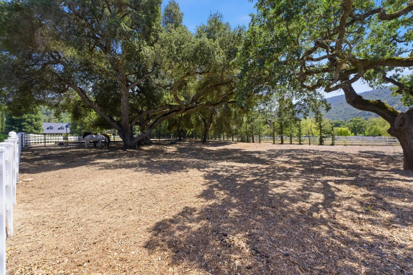 7 San Clemente Drive