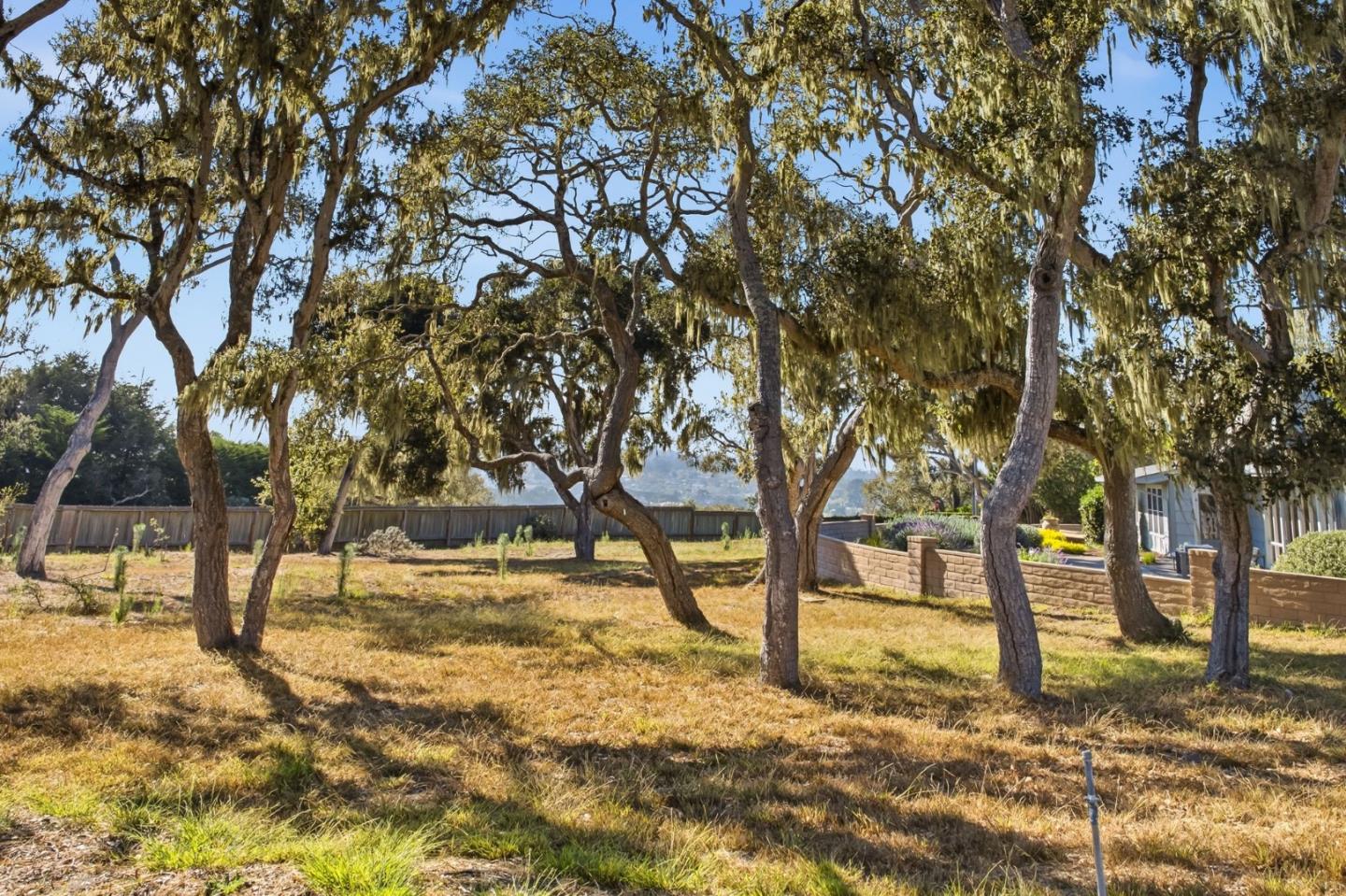 1651 Crespi LN