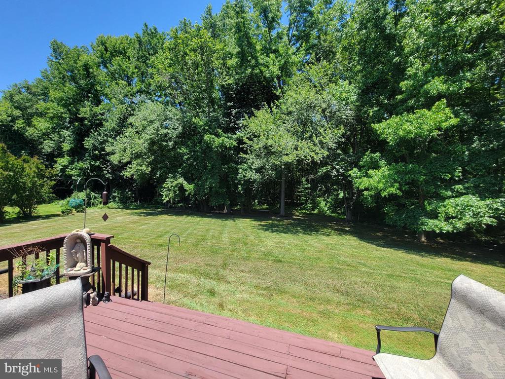 6 Terwood Ct