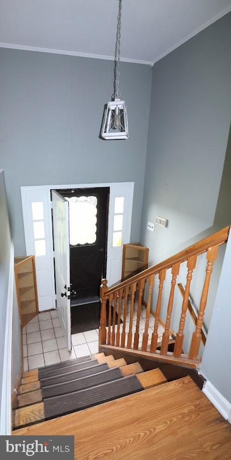 11 DELFT COURT