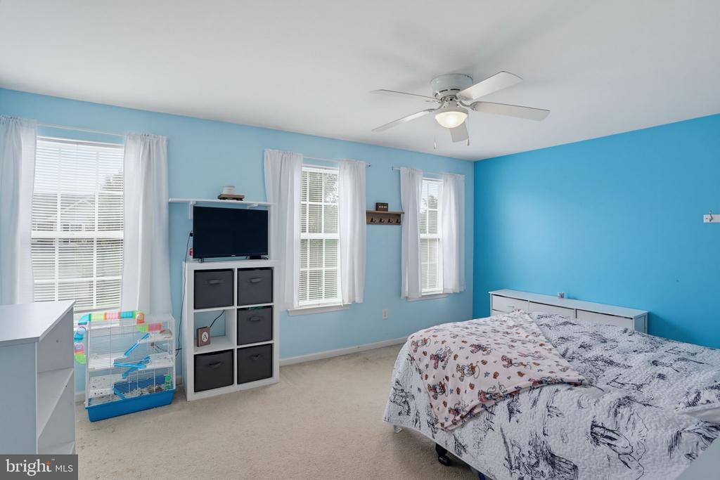 313 ANDROSSAN PLACE