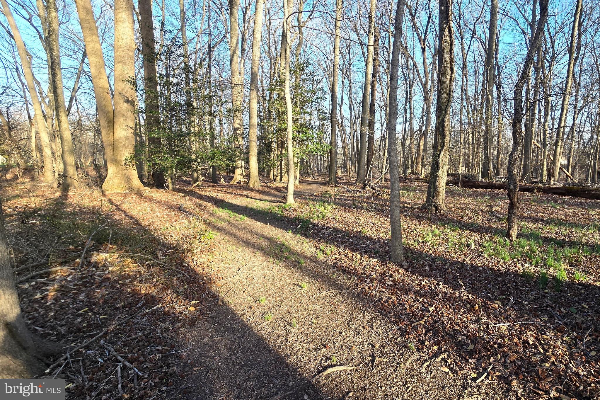 532 STONEY BATTERY ROAD