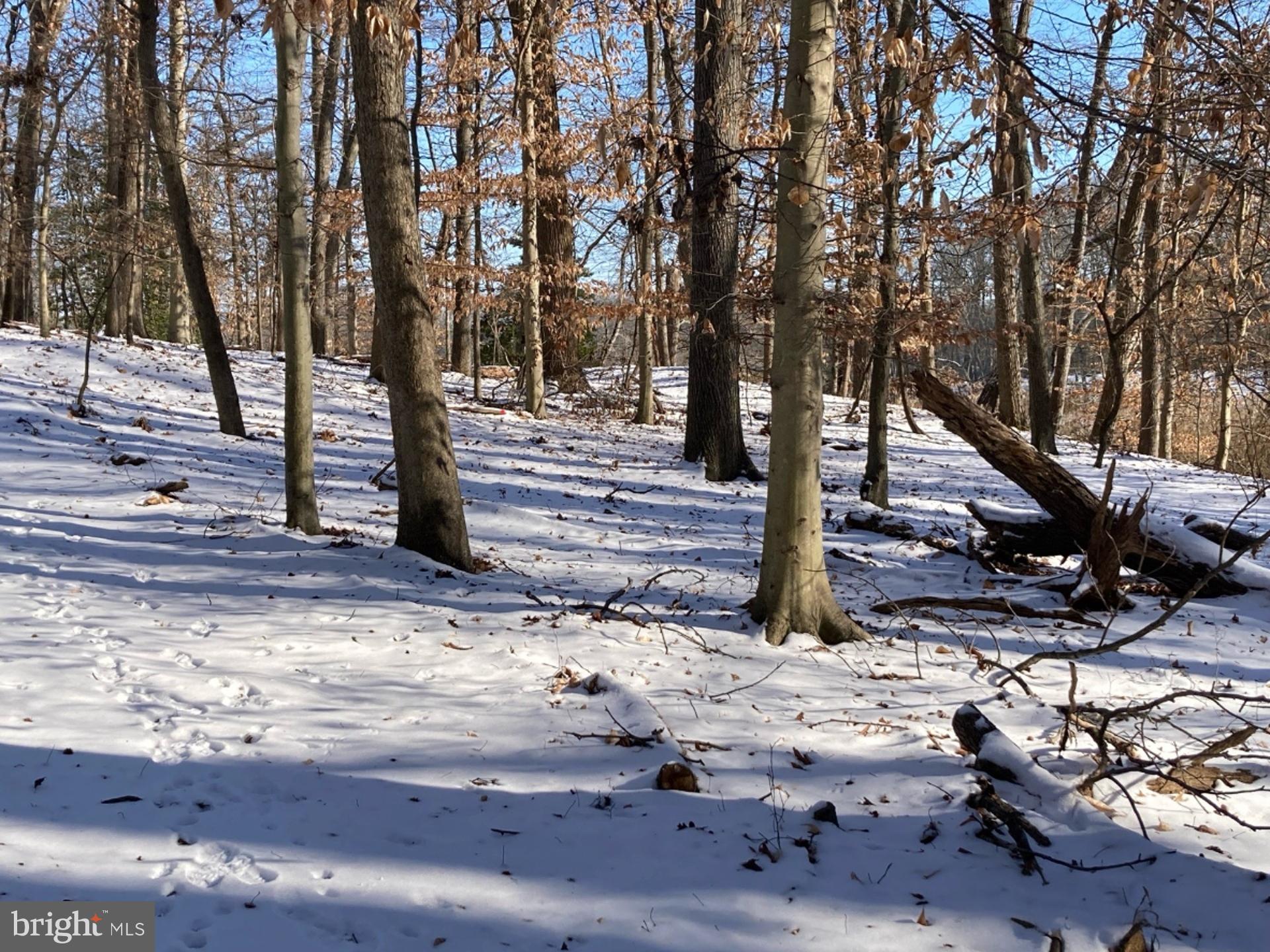 532 STONEY BATTERY ROAD