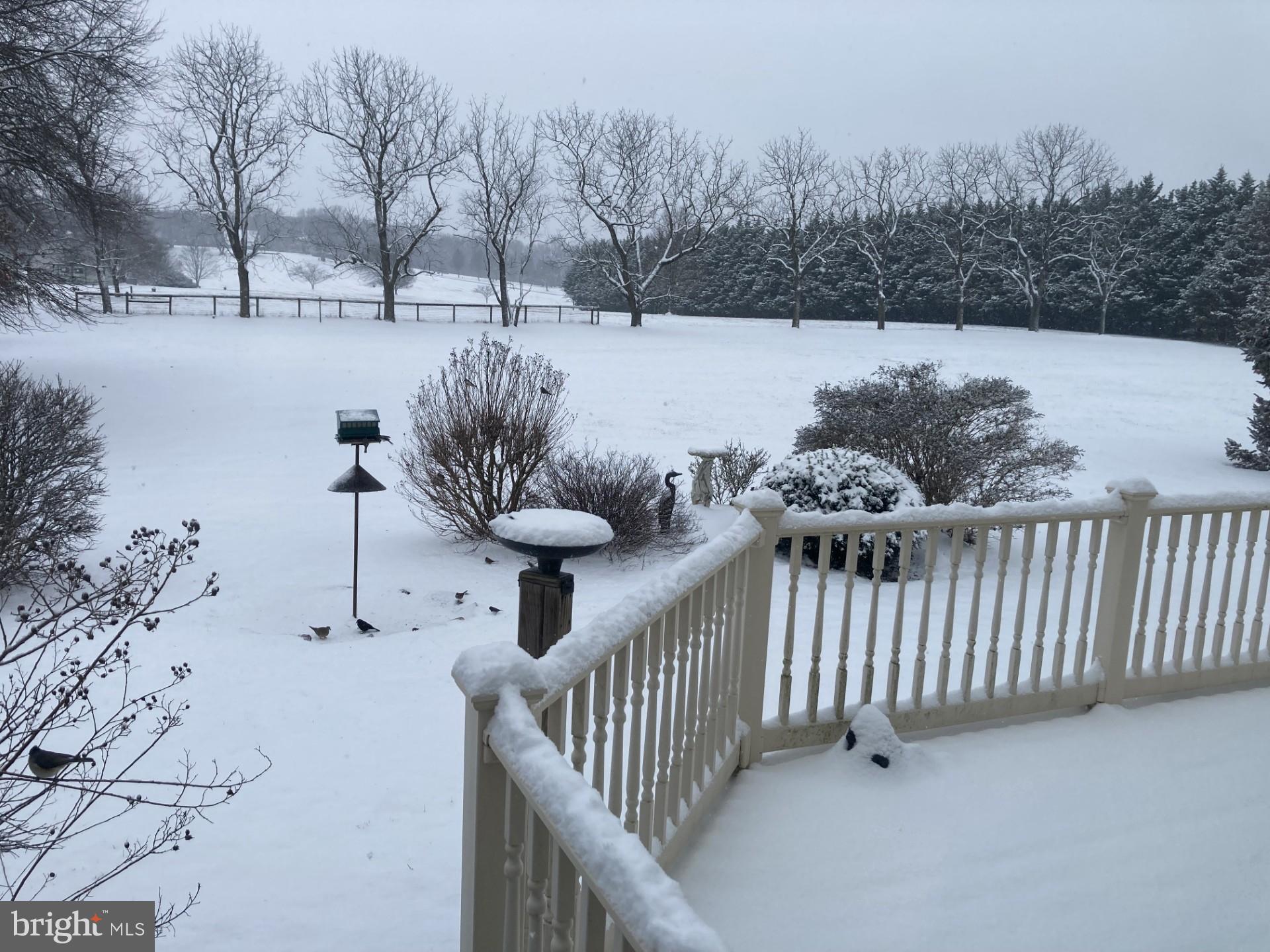 532 STONEY BATTERY ROAD