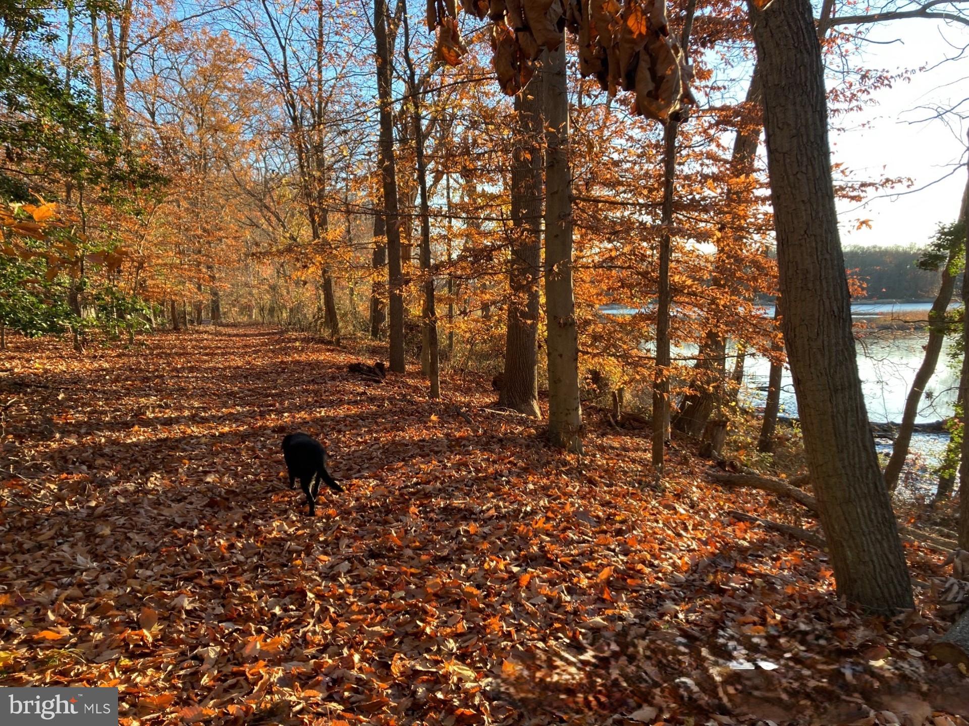 532 STONEY BATTERY ROAD