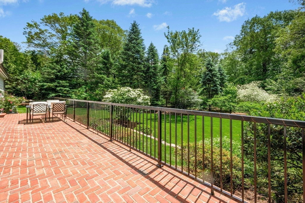 11 Scotch Pine Cir
