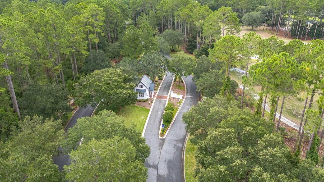 95239 AMELIA NATIONAL PARKWAY