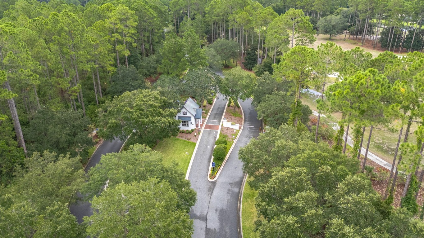 95239 AMELIA NATIONAL PARKWAY