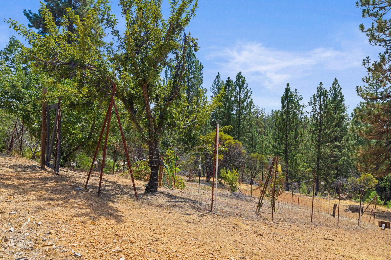 90 Edelweiss Lane