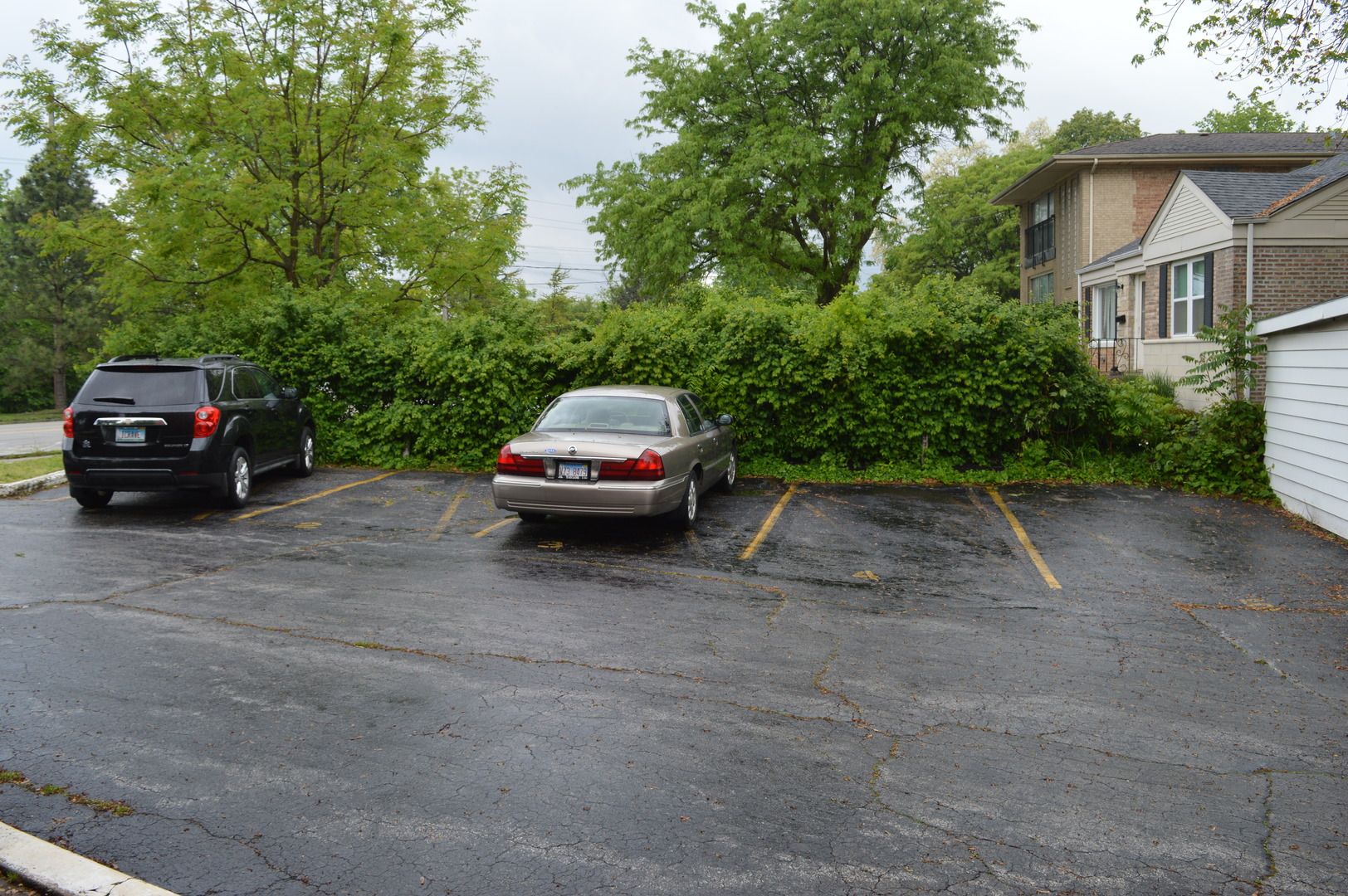 2025 Maple Road Unit: 1E