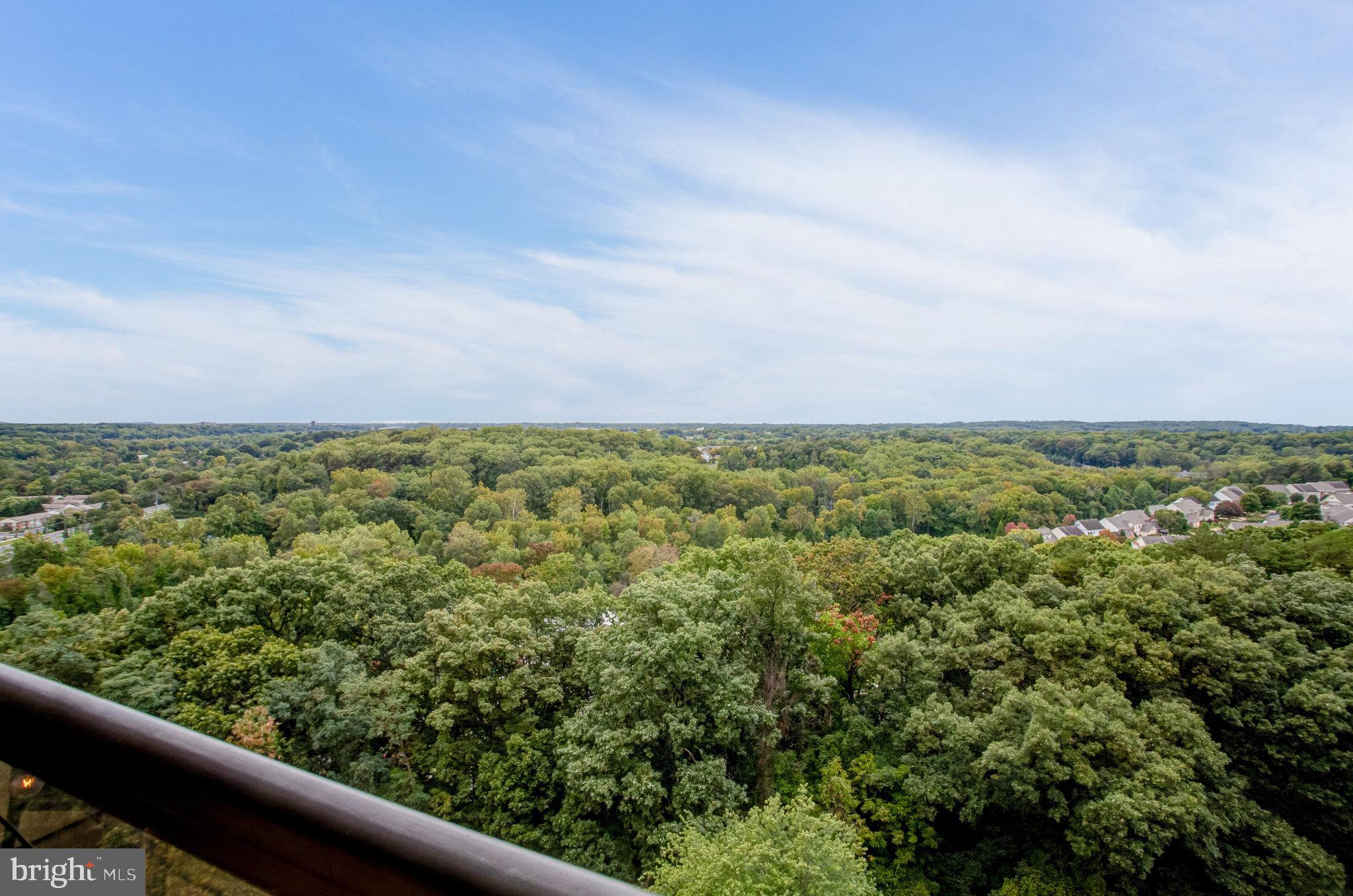 309 Yoakum PARKWAY Unit: 1609