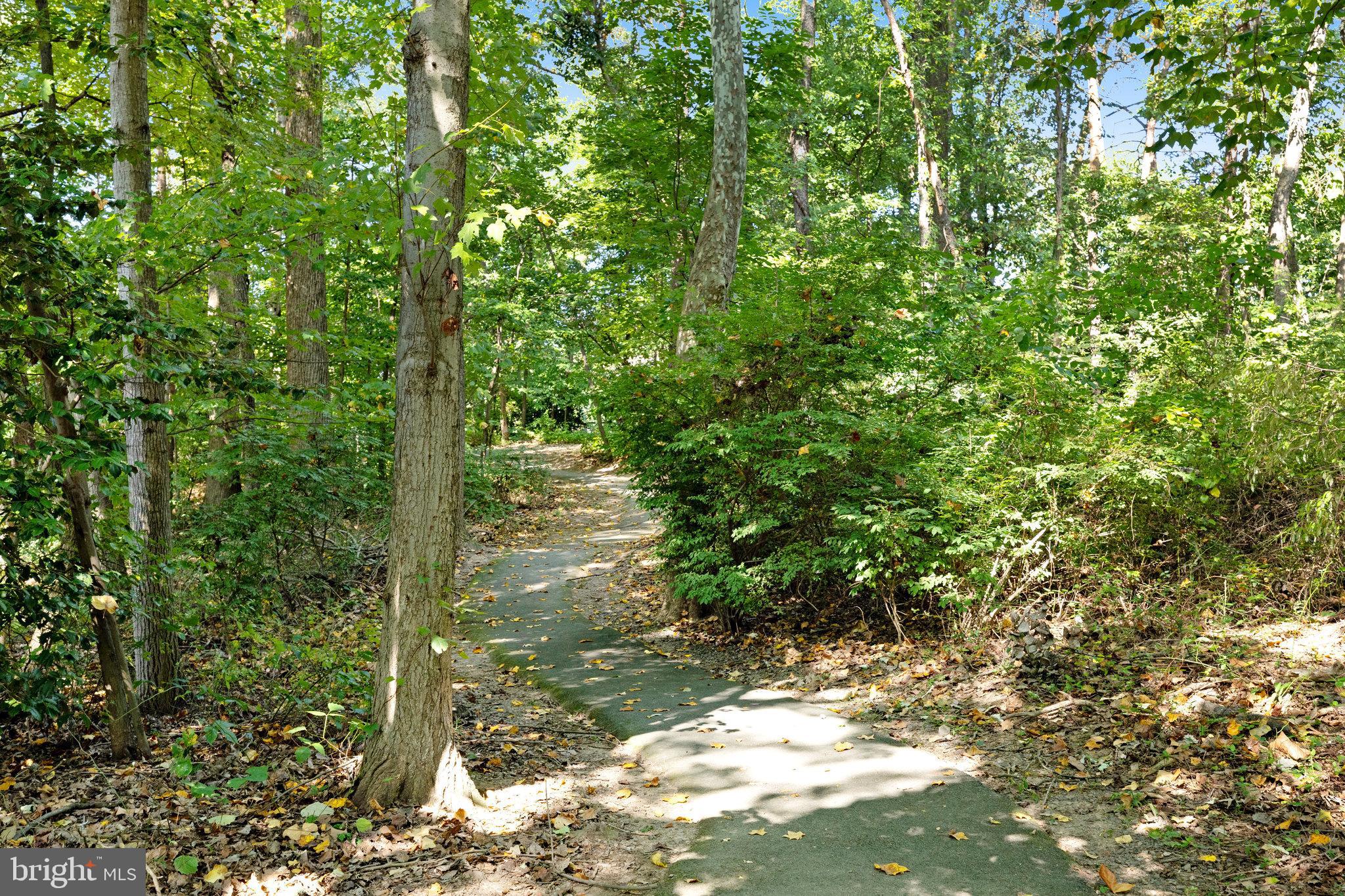 1503 TWISTED OAK DR
