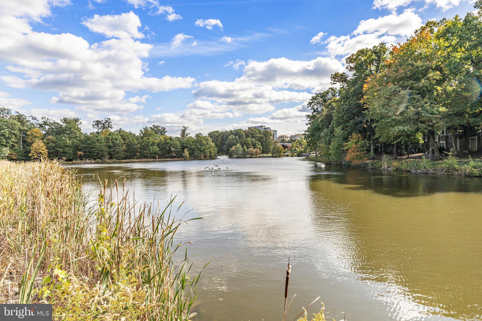 1700 LAKE SHORE CREST DR #34