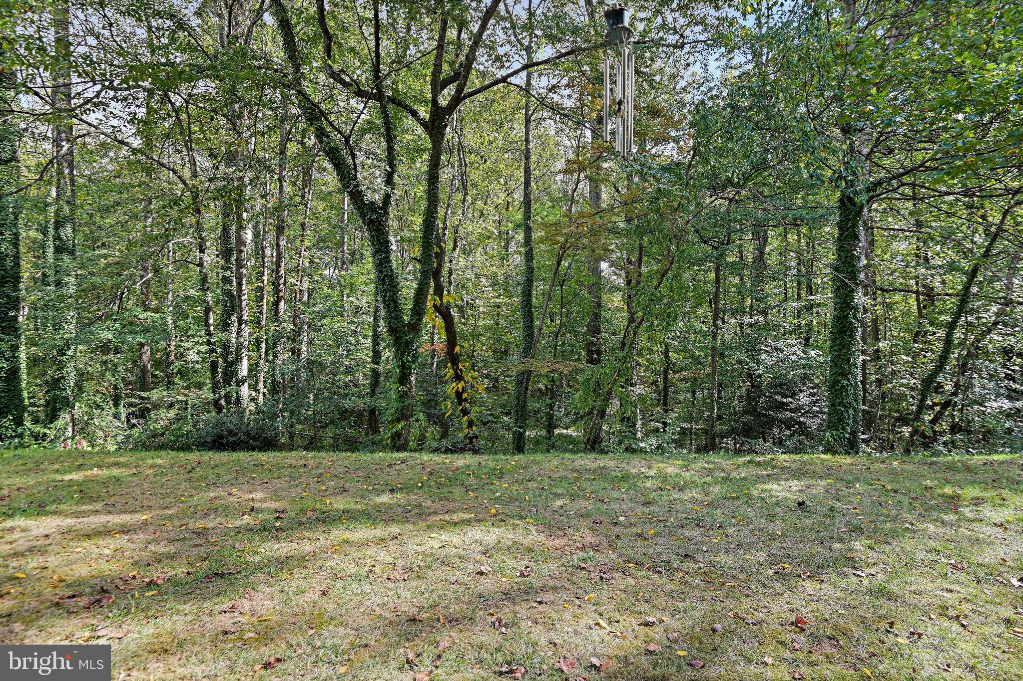 11619 VANTAGE HILL ROAD 1A