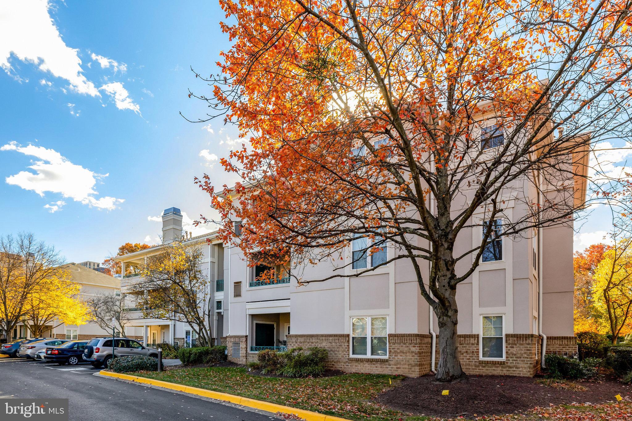 12020 TALIESIN PLACE 31