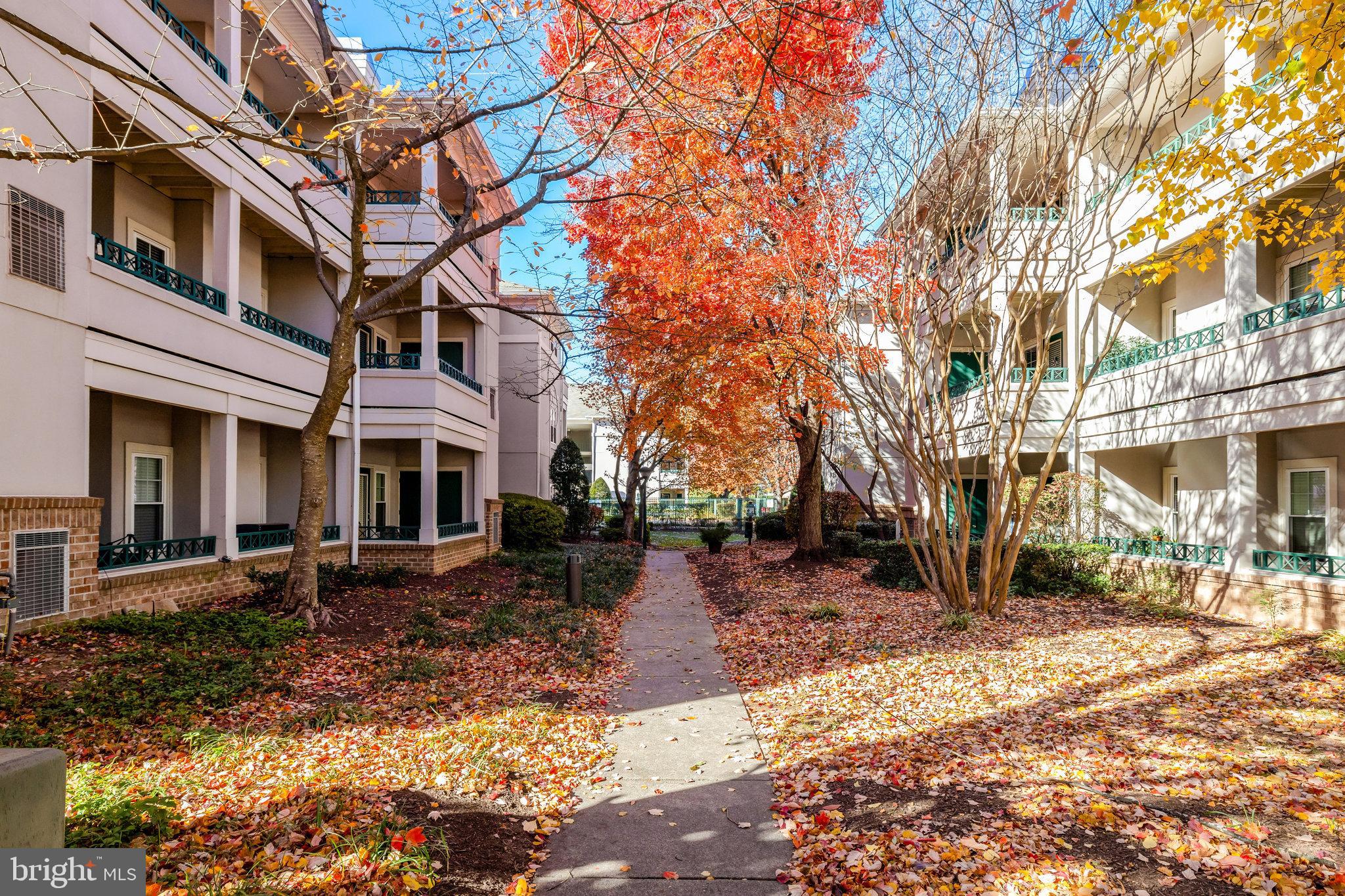 12020 TALIESIN PLACE 31