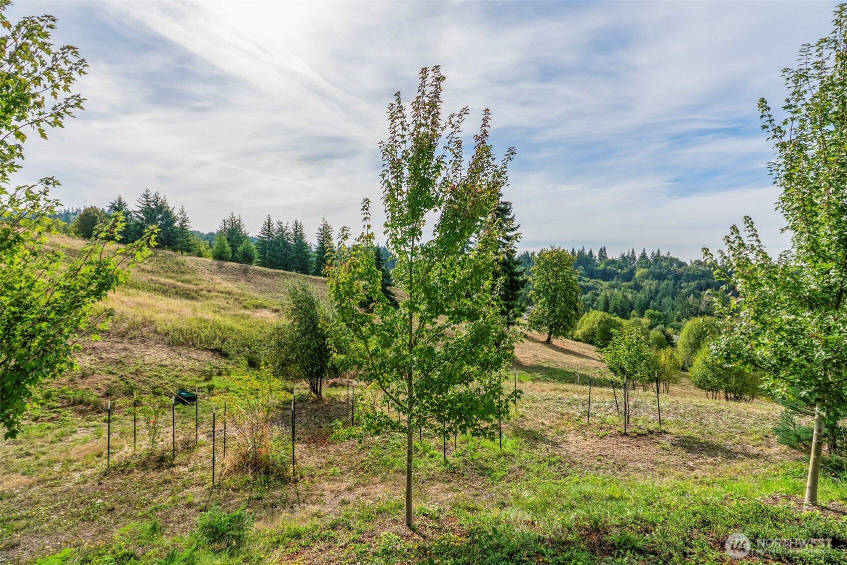 160 Windy River Road