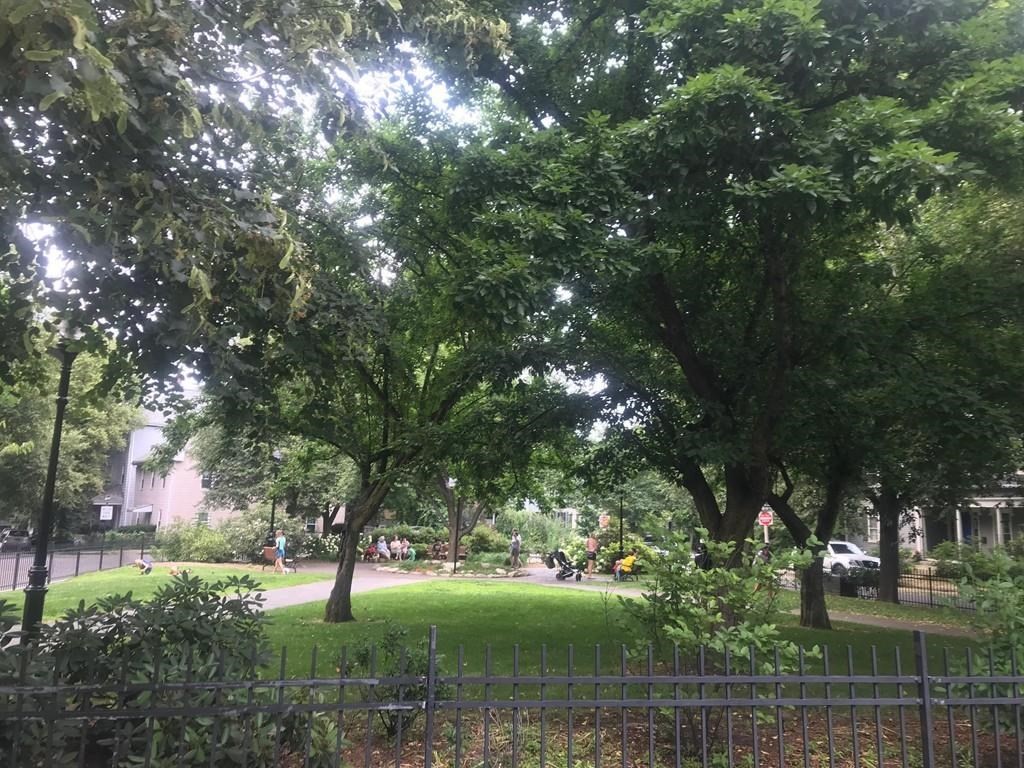 31 Linden Place, Unit 1