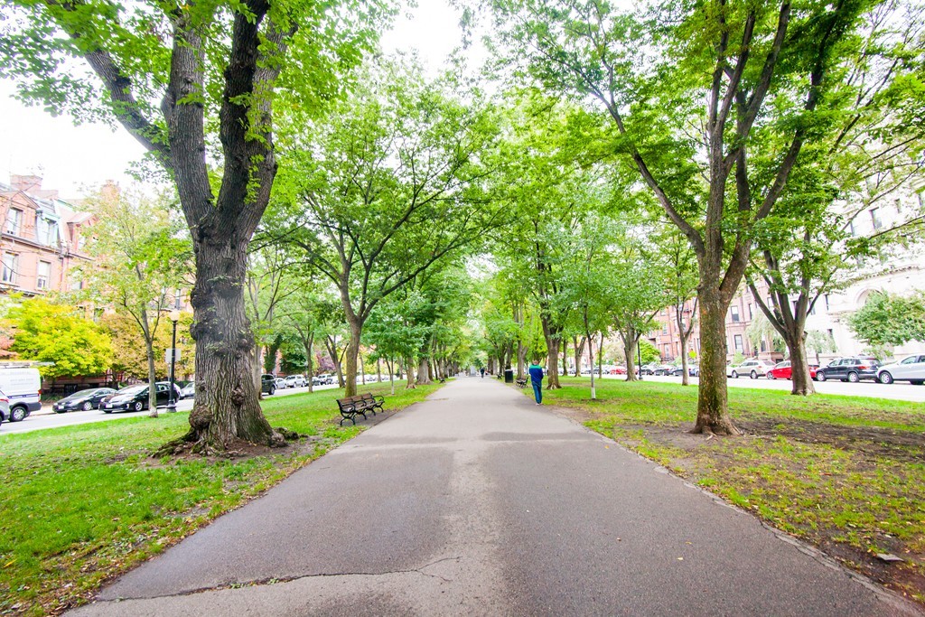 293-295 Commonwealth Ave. # 5B