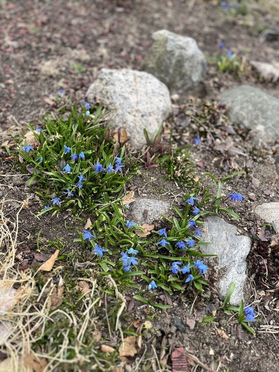 55 Marlboro Street # 55