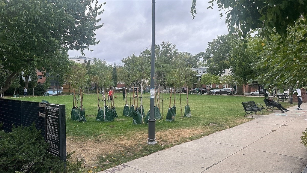 231 1/2 Broadway # 2