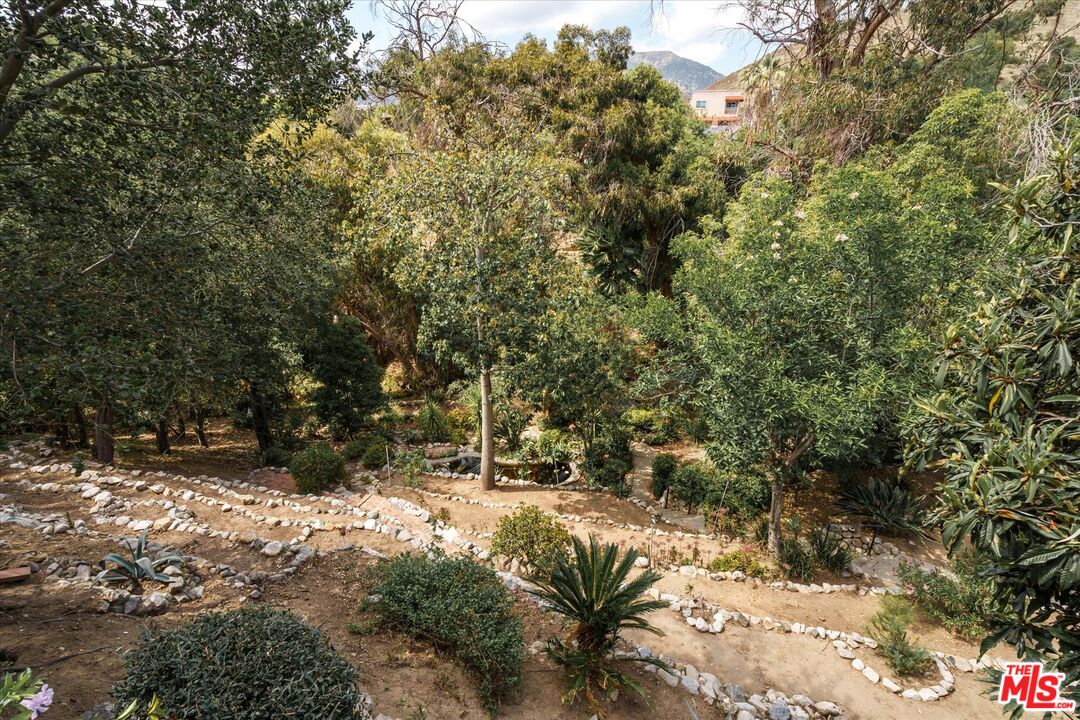 11111 Tujunga Canyon Blvd