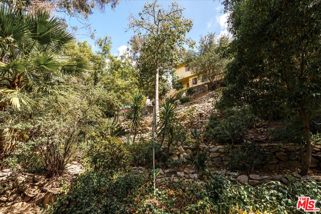 11111 Tujunga Canyon Blvd