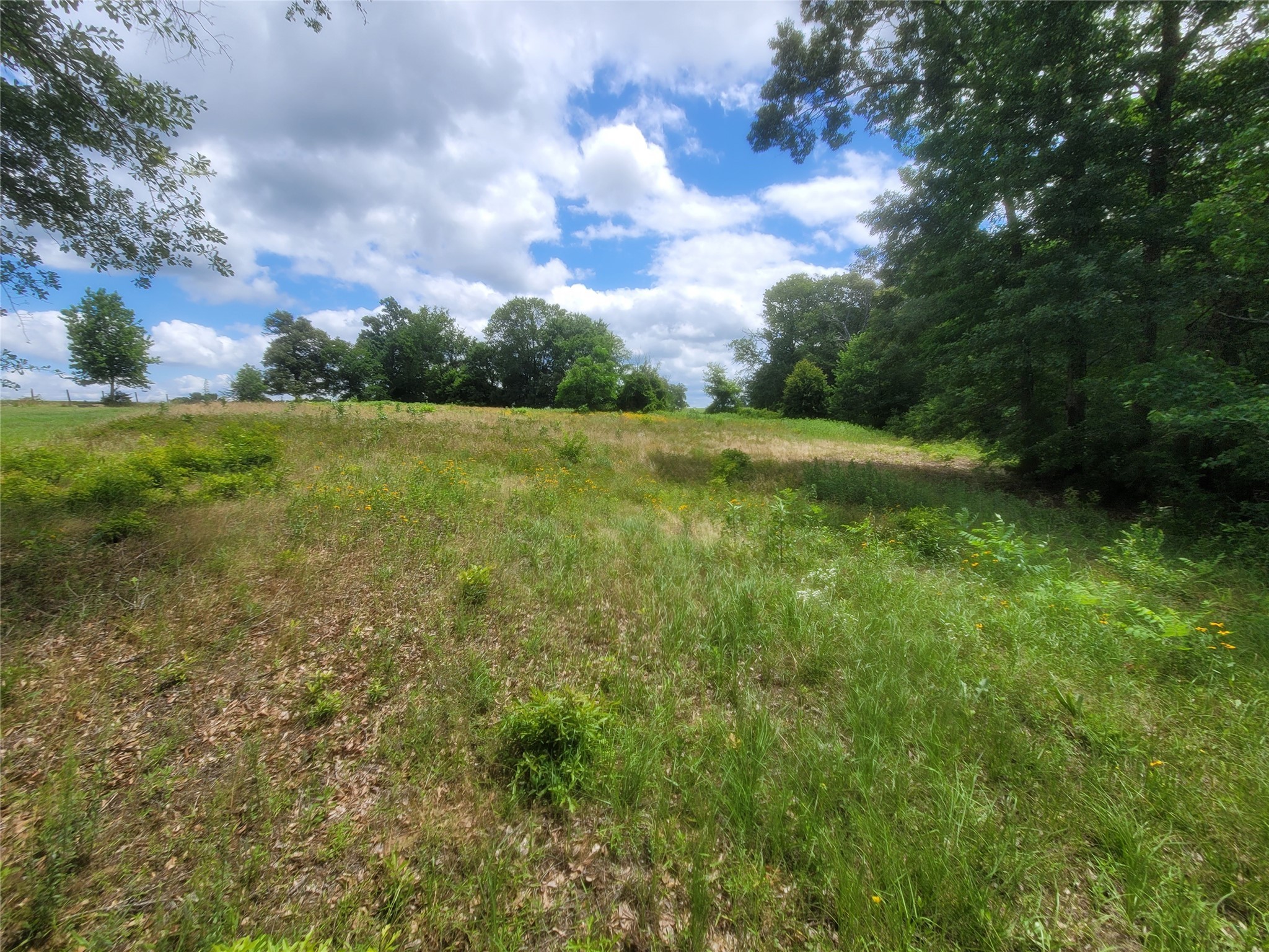Lot 6 County Rd 1218