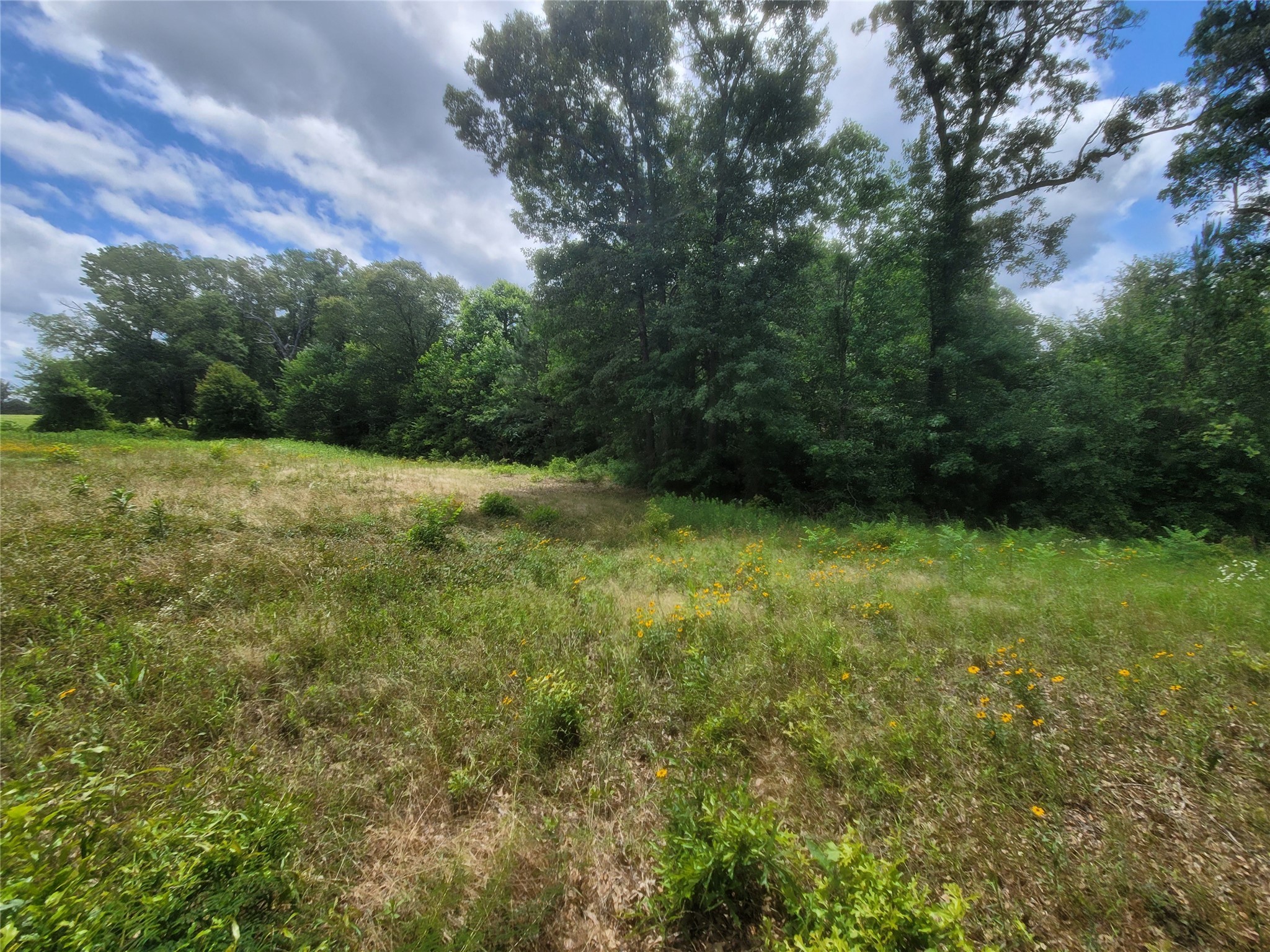 Lot 6 County Rd 1218