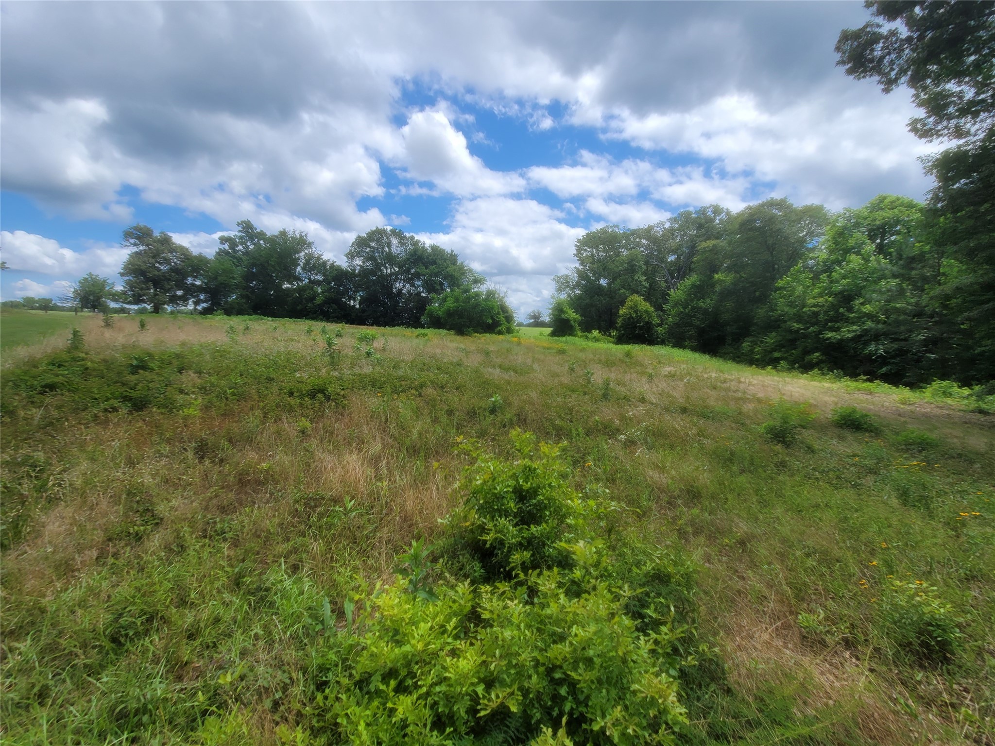 Lot 6 County Rd 1218