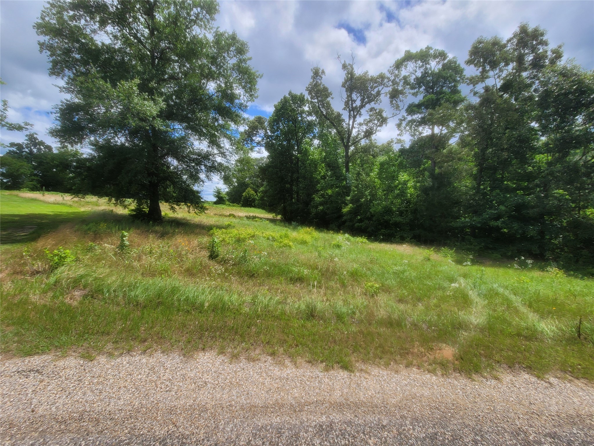 Lot 6 County Rd 1218