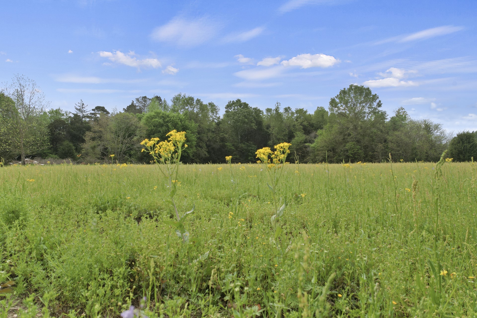 500 County Road 3324