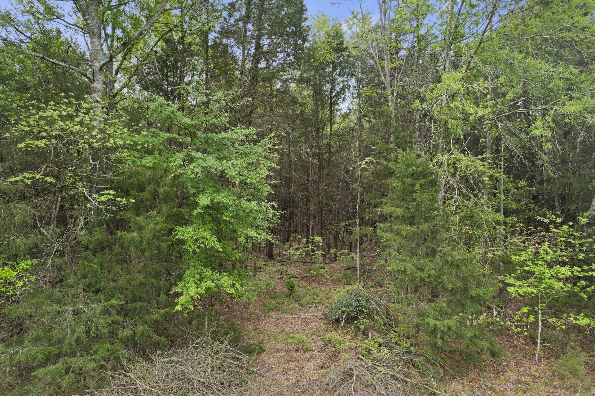 500 County Road 3324