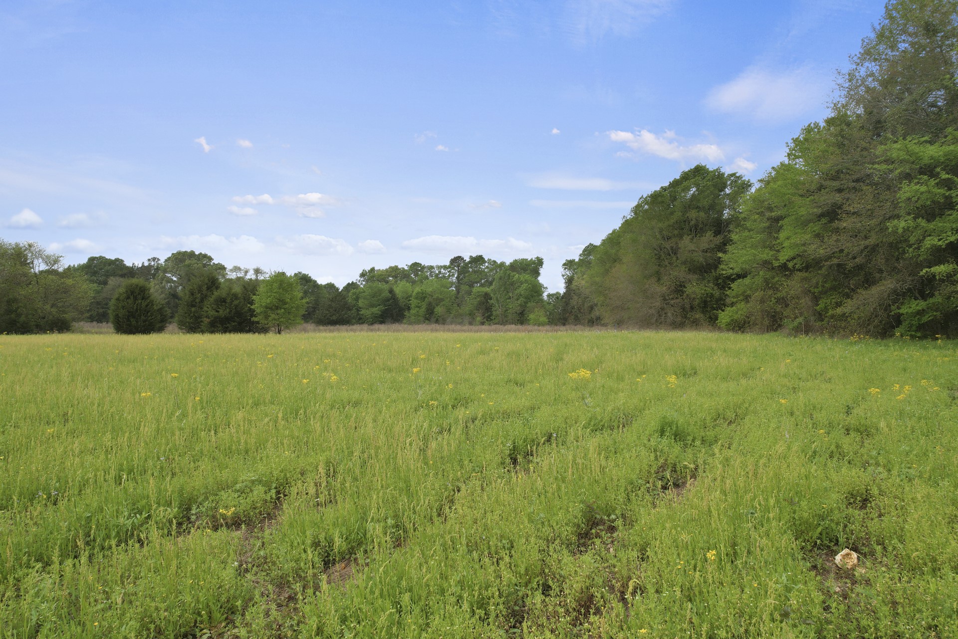 500 County Road 3324