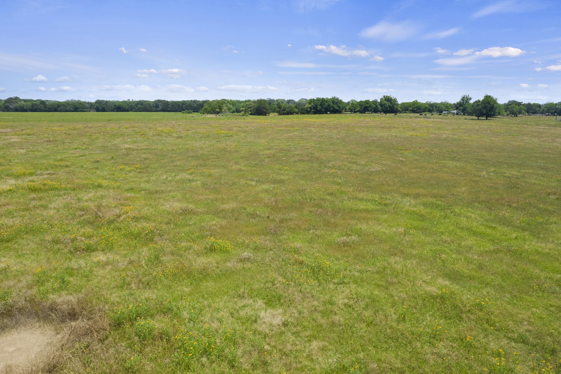 3.25 AC Lot 3 County Road 1135