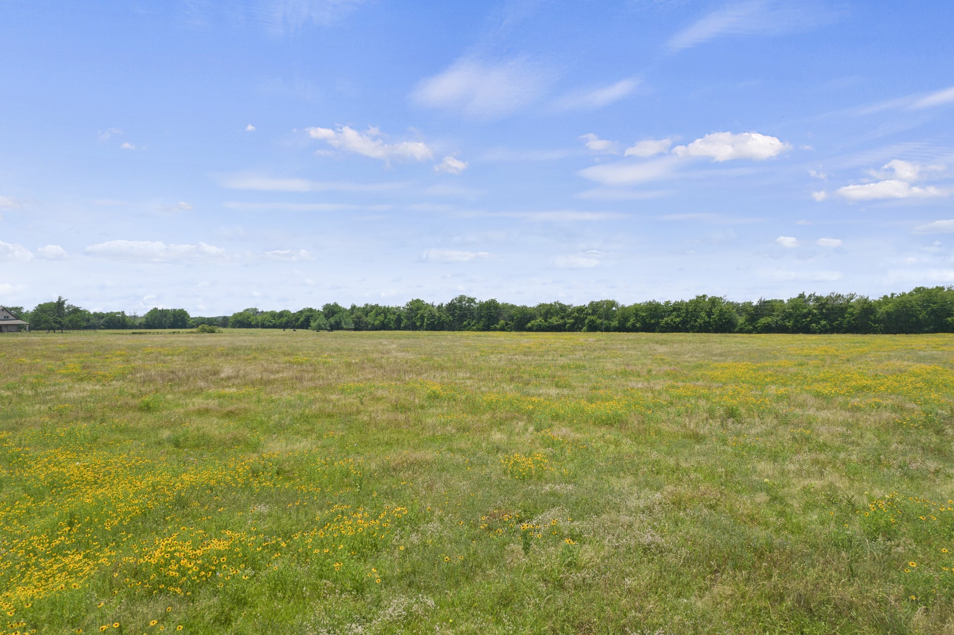 3.25 AC Lot 3 County Road 1135