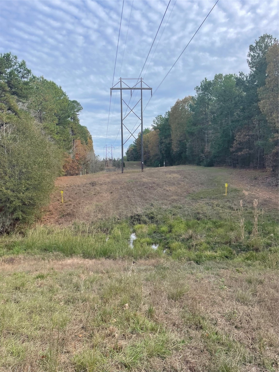 CR 2310 Dalby Road