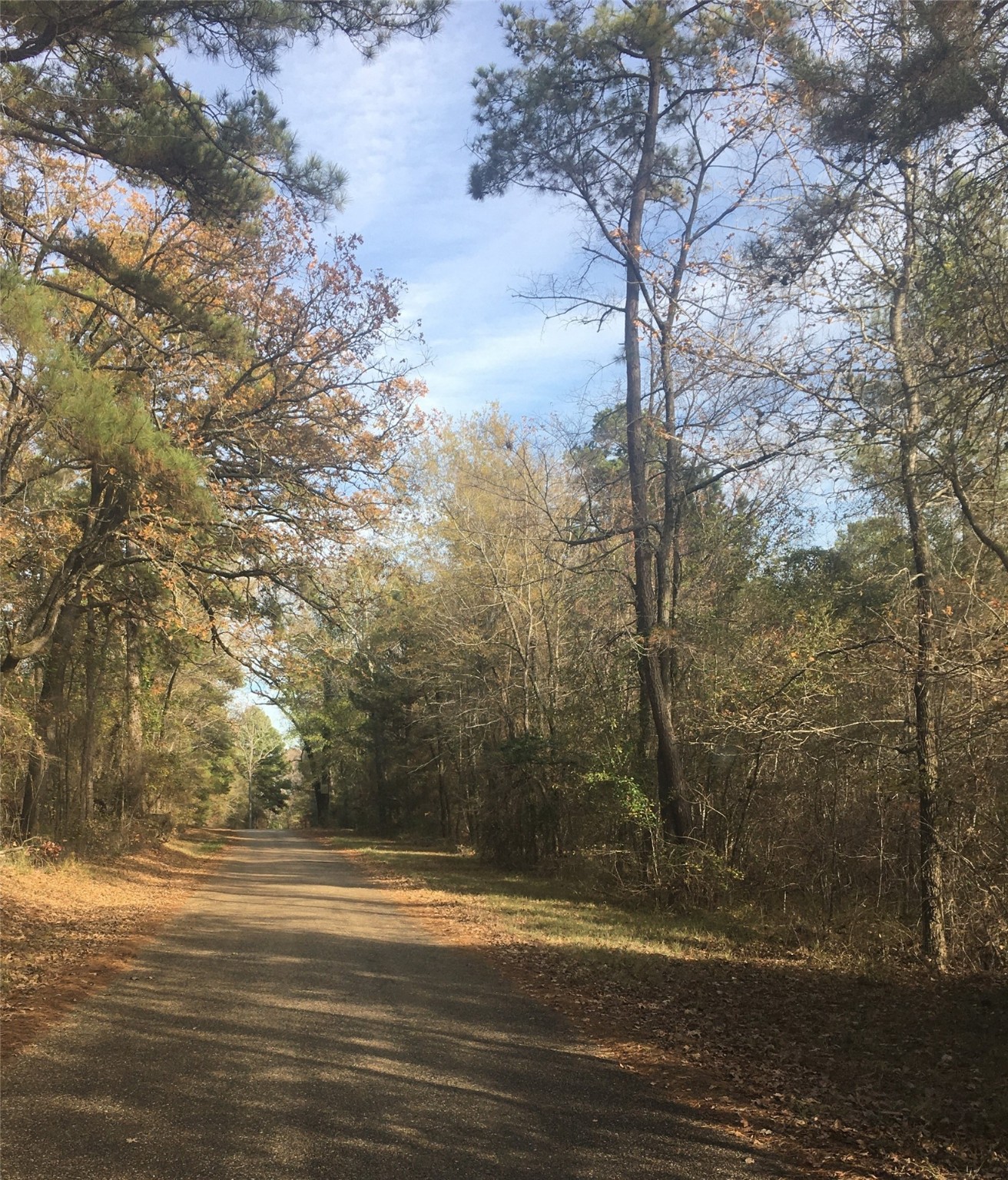 CR 2310 Dalby Road