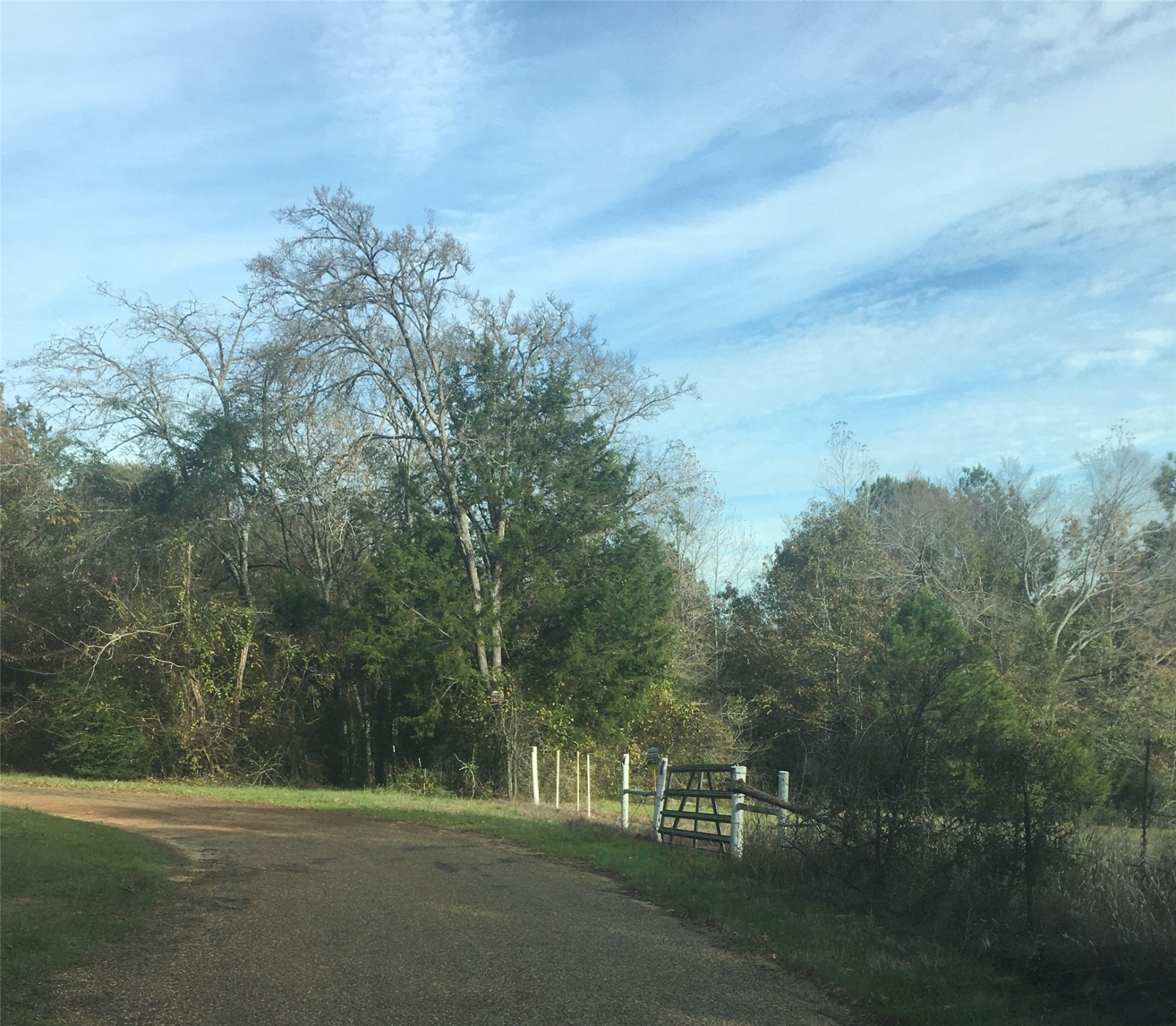 CR 2310 Dalby Road