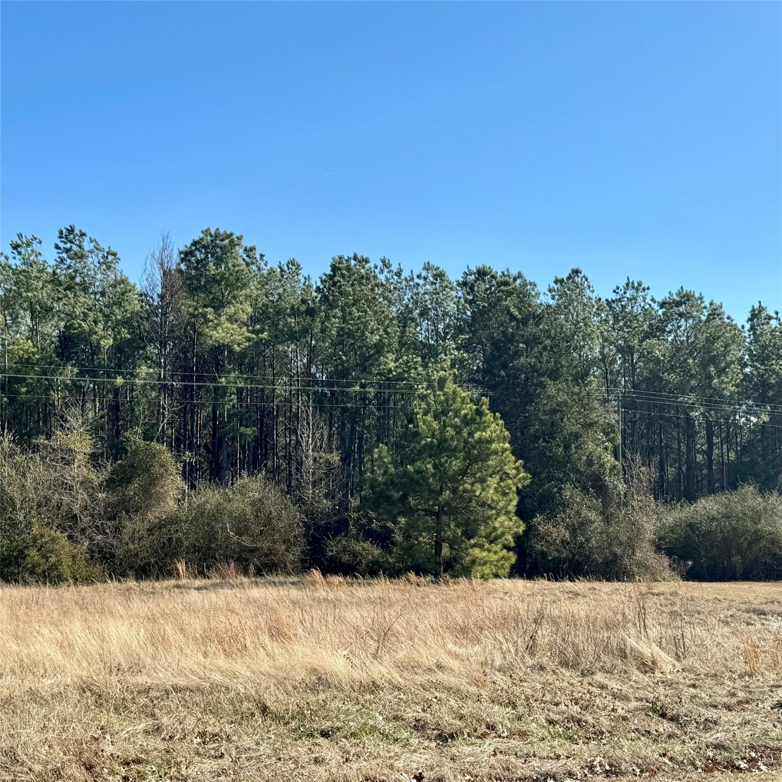 Lot 28 Twin Springs Trail