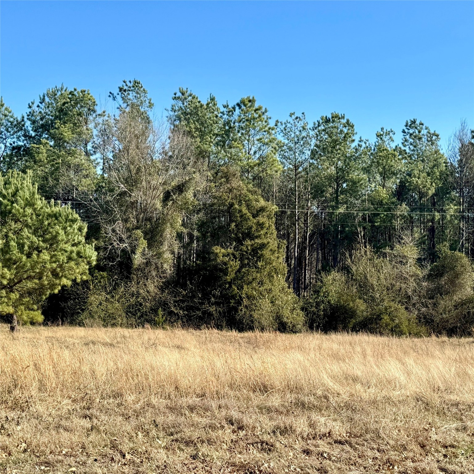 Lot 29 Twin Springs Trail